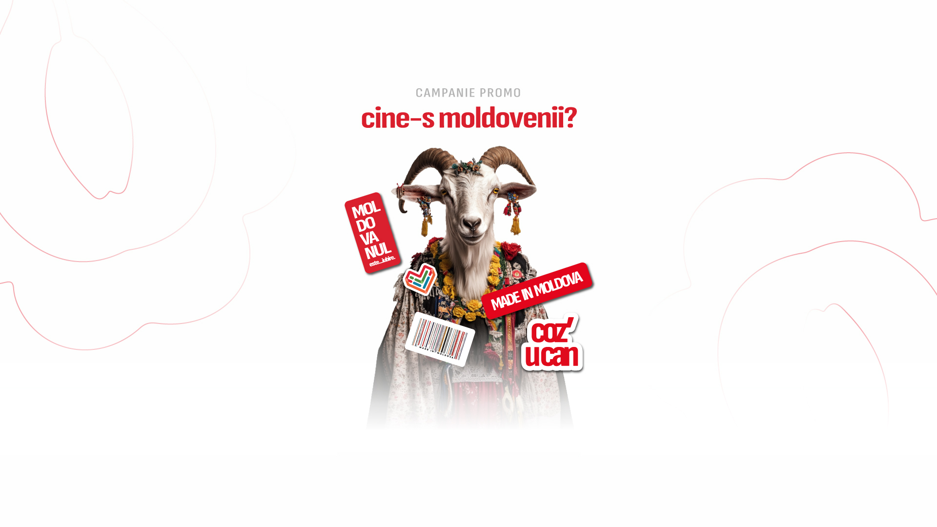 main-image